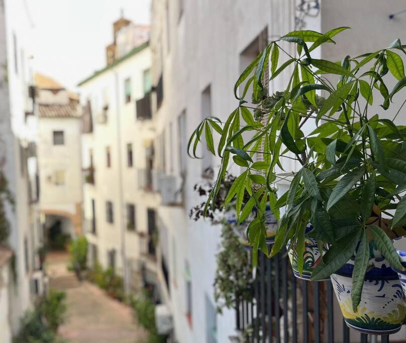Apartamento Kenza Cordoba Exterior photo